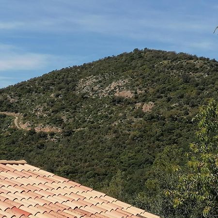 לס איסאמברה Tres Bel Appartement T3 Avec Splendide Vue Mer מראה חיצוני תמונה