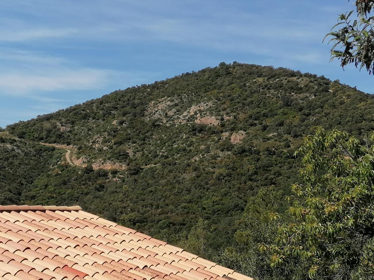 לס איסאמברה Tres Bel Appartement T3 Avec Splendide Vue Mer מראה חיצוני תמונה